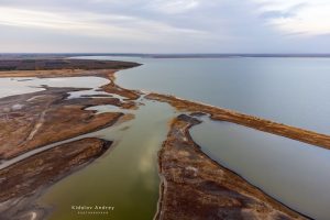 Кадры завораживают: фотограф из Акимовки показал, как изменился Молочный лиман (ФОТО)