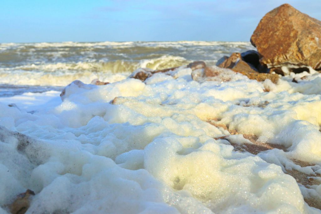 Непредсказуемое Азовское море: в Бердянском заливе шквальный ветер отогнал воду (ФОТО)
