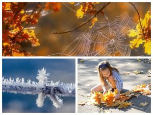 Метеорологи розповіли, якою буде погода в листопаді-2025 в Запоріжжі