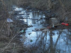 В Запорожье реализуют новаторскую технологию очистки рек