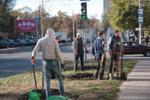 В Запорожье “Партия зеленых” добилась  высадки деревьев взамен срубленных при строительстве супермаркета (ФОТО, ВИДЕО)