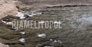 Море и побережье Кирилловки усеяны медузами (ФОТО, ВИДЕО)