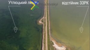 Тысячи особей пиленгаса обрекли на гибель в Запорожской области: для их спасения построили дамбу (ВИДЕО)