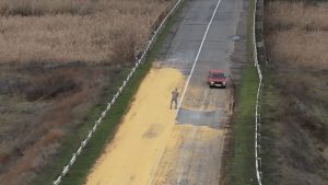 Собирали лопатами: в Запорожской области проезжая часть оказалась покрыта слоем зерновых (ВИДЕО)