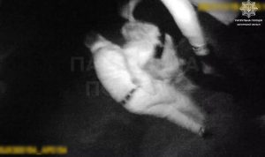 Появилось видео, как полицейские спасали спрыгнувшую с моста девушку в Запорожье