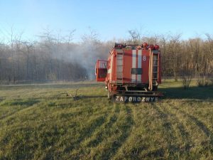У Запоріжжі стався ряд пожеж на відкритих територіях: звернення ДСНС до громадян