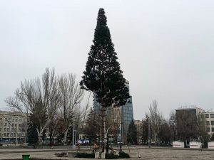 В Запорожье на Фестивальной устанавливают новогоднюю ёлку (ФОТО)
