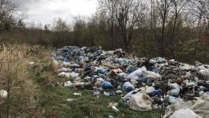 В Запорожской области обнаружили незаконную свалку площадью 1400 м²: к ответственности привлекли сотрудника КП