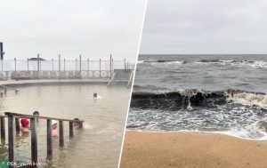 Отдых в Счастливцево и Стрелковом зимой — как отдыхается на Арабатской Стрелке в декабре