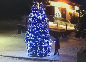 Под Запорожьем женщины украли гирлянду с главной елки: их разыскивают (ФОТО, ВИДЕО)