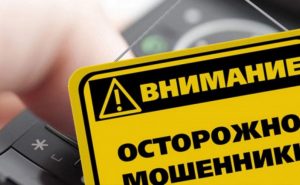 Імітують державні сервіси: запоріжців попереджають про шахраїв