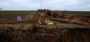 Муляж скелета слона на месте его реальной находки установили на берегу Азовского моря (ВИДЕО)