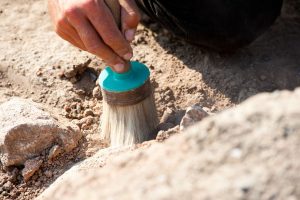 В Запорожской области нашли человеческий череп, которому 7 тысяч лет: как он выглядит (ФОТО)