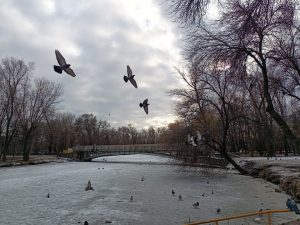 Как выглядит “Дубовка” в Запорожье в последний день января (ФОТО, ВИДЕО)