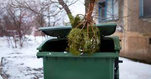 Запорожцам запретили выбрасывать елки в мусорные контейнеры: куда их девать