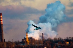 “Мы ничего об этом не знали”: треть года запорожцы находились в опасной среде