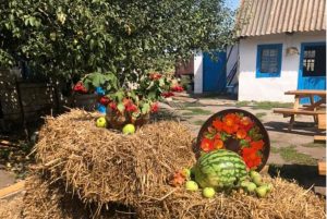 “Запоріжжя на смак”: експерти розвінчають міфи про харчування українців