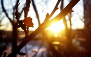 Когда в Запорожье придет потепление