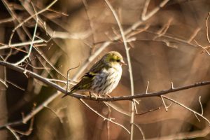 Когда в Запорожье ждать тепла: синоптики дали новый прогноз