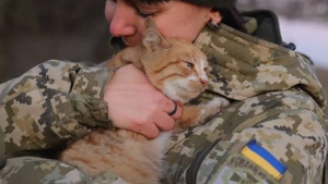 Запорожцам разъяснили, как эвакуироваться с домашними любимцами в условиях войны