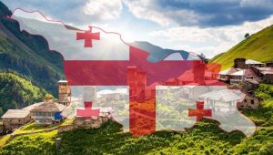 В МЗС України розповіли, як впливають на Грузію чрез можливу контрабанду в рф