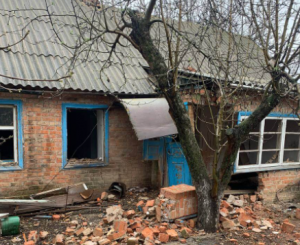 Вночі ворог обстріляв фосфорними бомбами село на Запоріжжі (ФОТО)