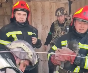 Рятувальники дістали з-під завалів цуценя: як багато життя у цьому відео