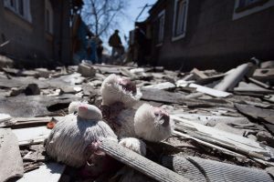 Cтало известно, сколько детей погибли и ранены из-за агрессии российских оккупантов