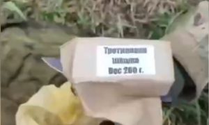Вместо тротила и дымовой шашки – куски дерева: “вторая армия мира” не перестает удивлять (ВИДЕО)