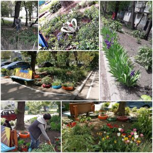 У Запоріжжі КК “Мрія” оголосила переможців конкурсу (ФОТО)