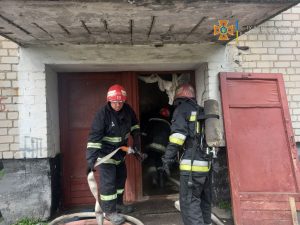 На Запоріжжі вогнеборці врятували на пожежі собаку: він був вже непритомний (ФОТО)