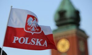 Новые вакансии для украинок в Польше: сколько можно заработать