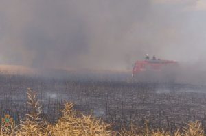Под Запорожьем возник пожар общей площадью 1,5 гектара (ФОТО)