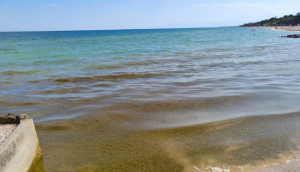 В сети показали ФОТО и ВИДЕО зацветшего Азовского моря в оккупированной Кирилловке
