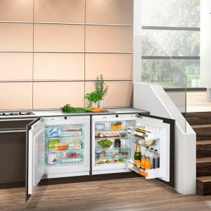 Как выбрать экономную и вместительную морозильную камеру?