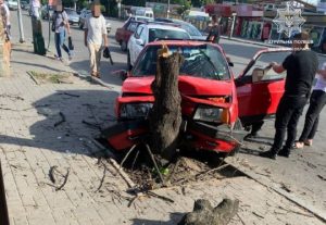 В Запорожье дерево преградило дорогу авто в метре от остановки с людьми (ФОТО)