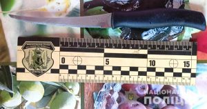 В Запорожье женщина ударила ножом своего сожителя (ФОТО)