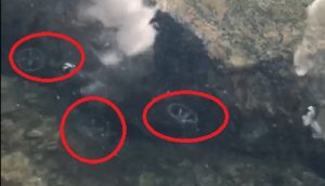 В Запорожье в реке засняли множество пресноводных медуз (ВИДЕО)
