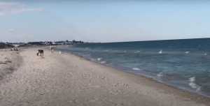 Море без медуз, вулиці без людей, працюють деякі бази: яка ситуація в окупованій Кирилівці в липні