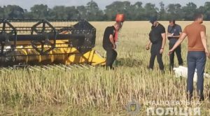 На Дніпропетровщині знайшли тіло дитини у полі без одягу: що відомо (ФОТО)