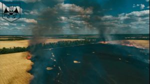 Палаючі поля та знищення окупантів: відео від Запорізької ТрО