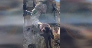 ЗСУ провели рятувальну операцію на о. Зміїний (ВІДЕО)