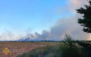 Окупанти обстріляли Запорізьку область: загорілись пшеничні поля, вогонь перекинувся на Дніпропетровщину