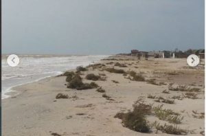 У мережі показали фото занедбаної Федотової коси у Кирилівці після шторму