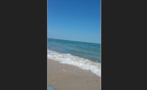 Без отдыхающих и с продавцами кукурузы: на ВИДЕО показали обстановку на пляже в оккупированной Кирилловке