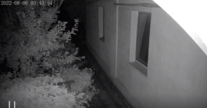 У мережі опублікували ВІДЕО звуків нічних “прильотів” у Запоріжжі