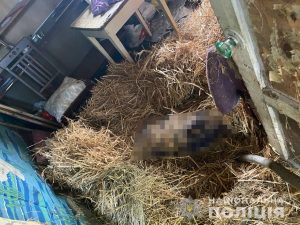 Під Запоріжжям жінка вбила пенсіонера та намагалася спалити тіло (ФОТО)