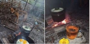 Як виглядає життя в Оріхові після масованого обстрілу РСЗВ (ФОТО, ОГЛЯД)
