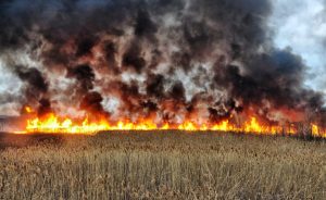 На відкритих територіях Запоріжжя та района сталося три пожежі: подробиці та ФОТО