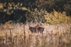 Фотошедеври минулого тижня у Запоріжжі